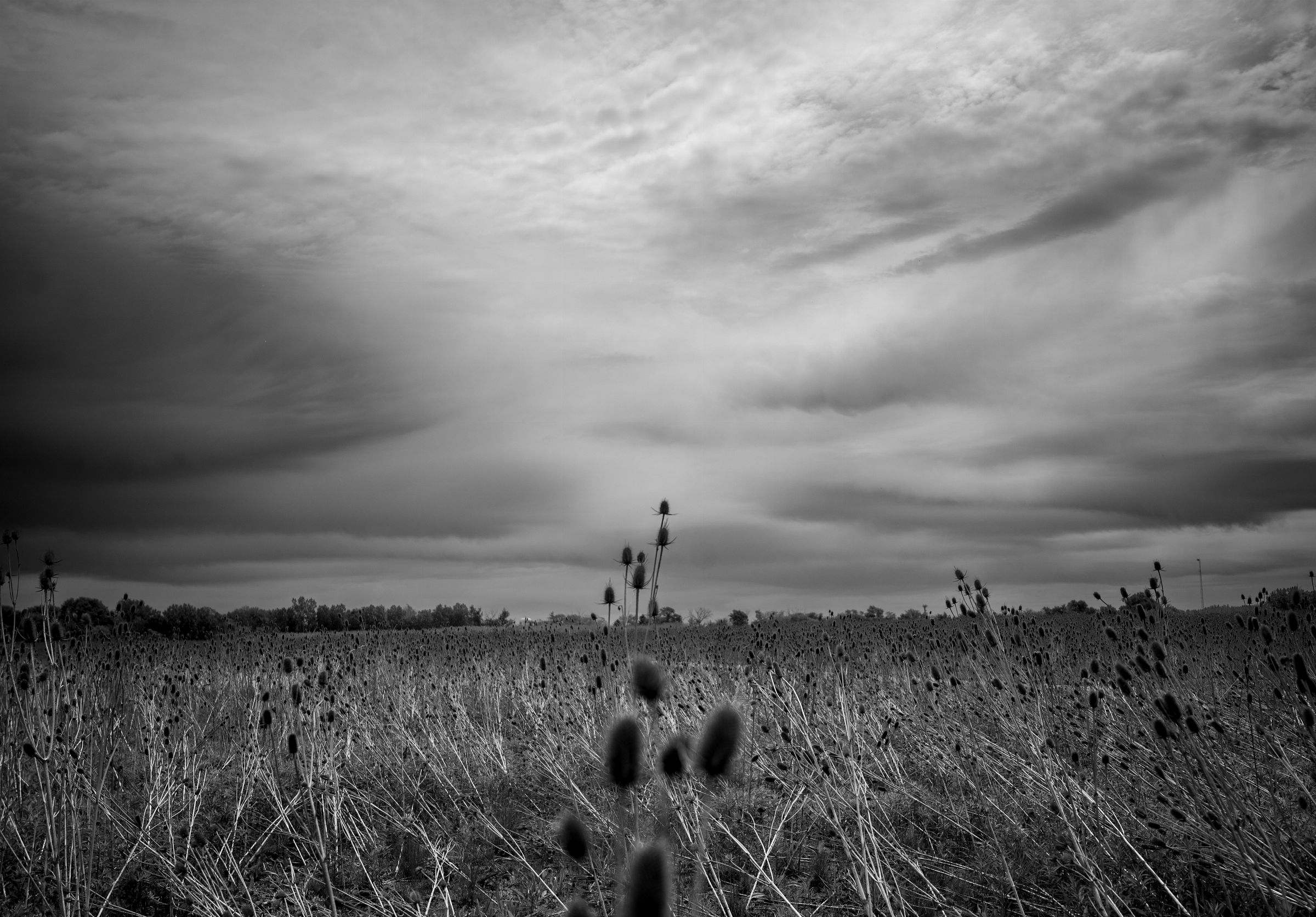 I like to ride through places you know but pretend don’t exist.