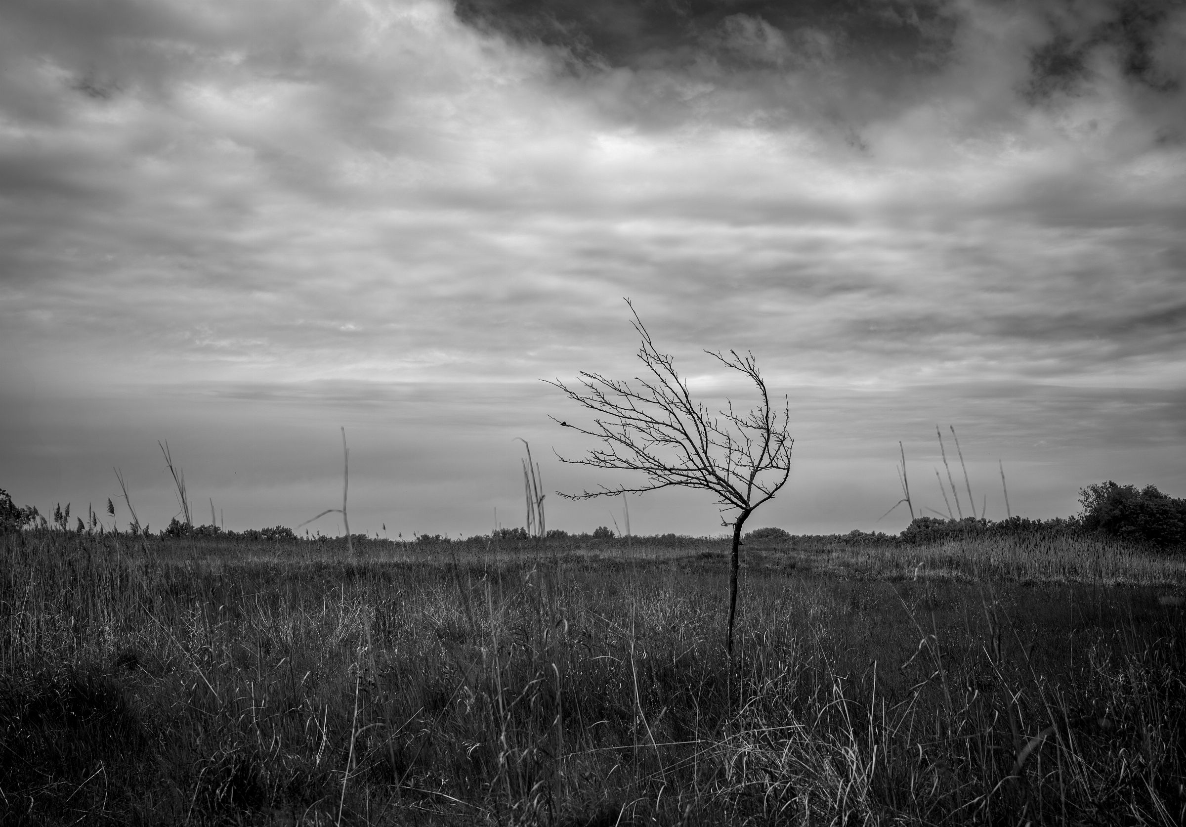 there’s life down here. not the kind you post about.